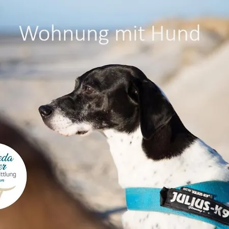 Haus Jungnamen Nr. 6 Apartman