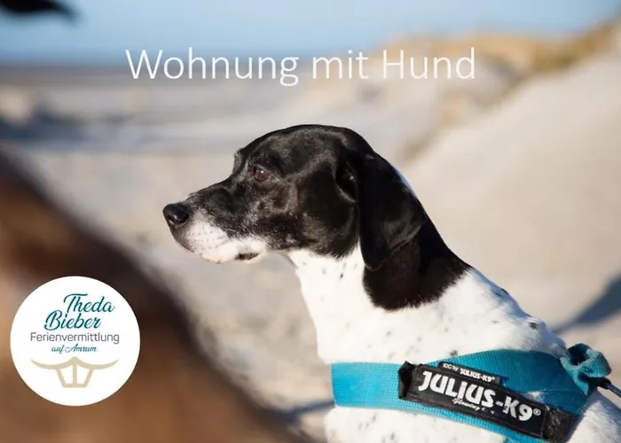 Haus Jungnamen Nr. 6 Lägenhet